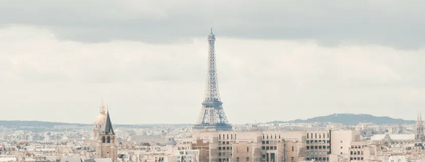 Social Media Success Story: Paris In Four Months