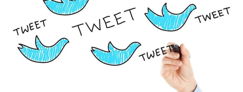 Top 5 Tips on How to Boost Your Twitter Following
