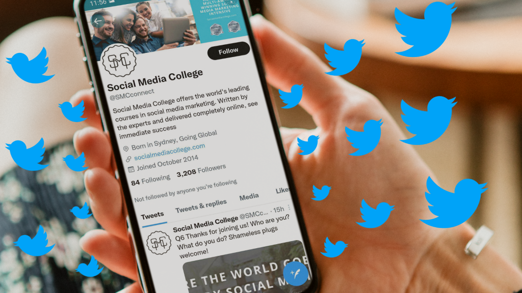 How to Get Twitter Followers to Grow Your Social Following