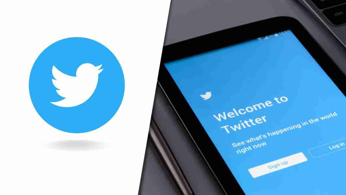 Twitter Released Their Algorithm - Here's What We Learnt